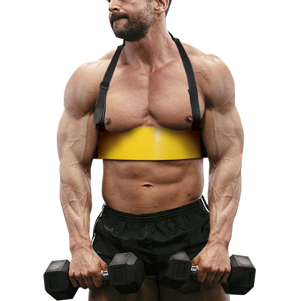 Biceps & Triceps Muscle Builder Bicep Isolator Arm Strength Training Machines Muscle Gains for