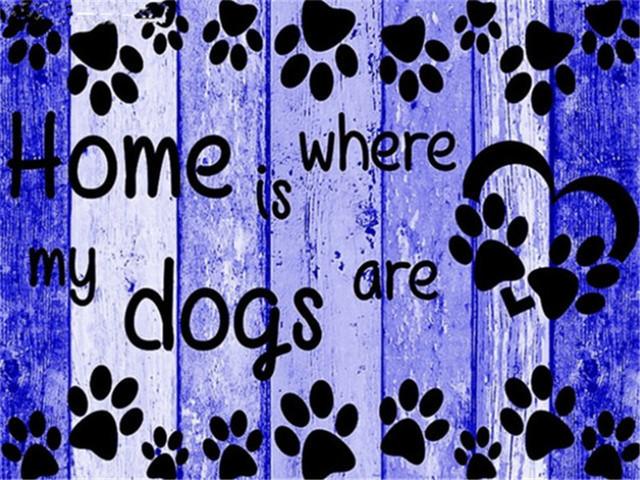 

Полная квадратная/круглая Алмазная картина с текстом 5D DIY Алмазная вышивка Домашние фотографии Стразы Мозаика Decortion Full Round 20X30CM разноцветный