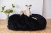 Productos para mascotas – Muebles para mascotas
