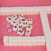 Shangkechengpin Mini Travel Mahjong Set