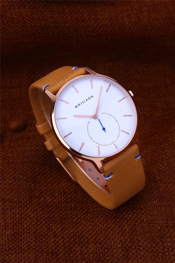 BRIGADA Swiss Brand Watch Popular Luxury Watch Men's (Barakin)