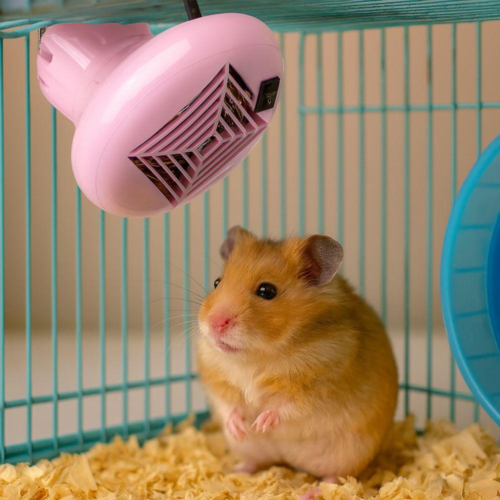 3 File Adjustment Animal Heating Lamp E27 Socket Animal Heat Bulb  Reptile Pets