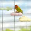 Detachable Pumice Parrot Stand Bite Resistant Tooth Grinding Claw Grinding Stand Wear Resistant Bird Resting Platform Training