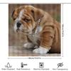 Cute Dog Shower Curtain Decor Puppy Print Fabric Waterproof Bath Mat Cover With Hook Rings For Bathroom Decorations Available In