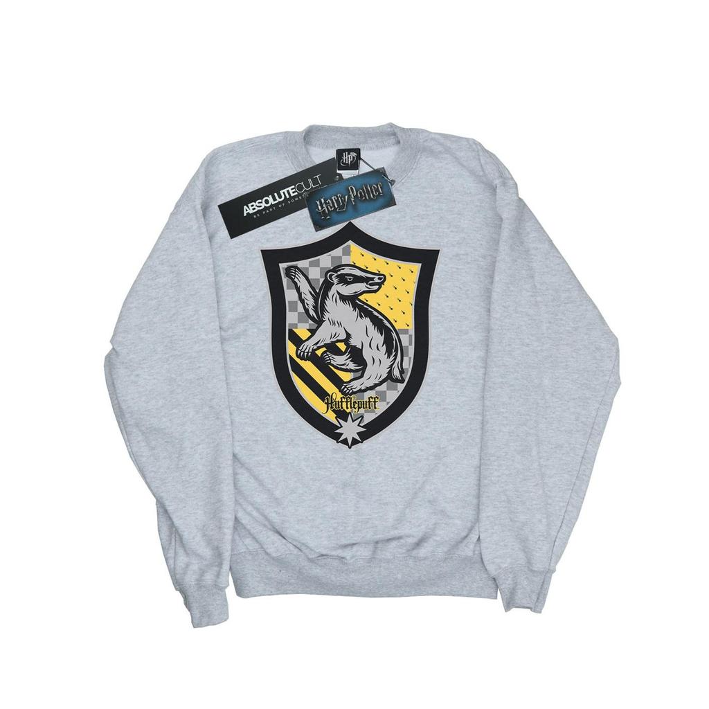 HARRY POTTER Boys Hufflepuff Crest Flat Sweatshirt