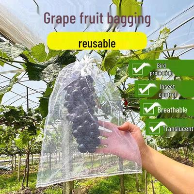 Fruit Tree Insect and Bird Protection Net Bag for Grapes, Figs, Guavas, Strawberries, Peaches