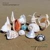 Large Conch Seashell Ornament for Wall Decor, Aquarium Aquascaping, and Sea Sound Collection