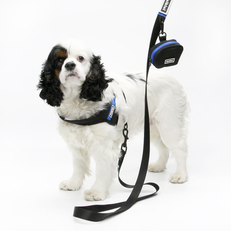 KINIKINI Signature Harness + Leash Set BLACK/ORANGE