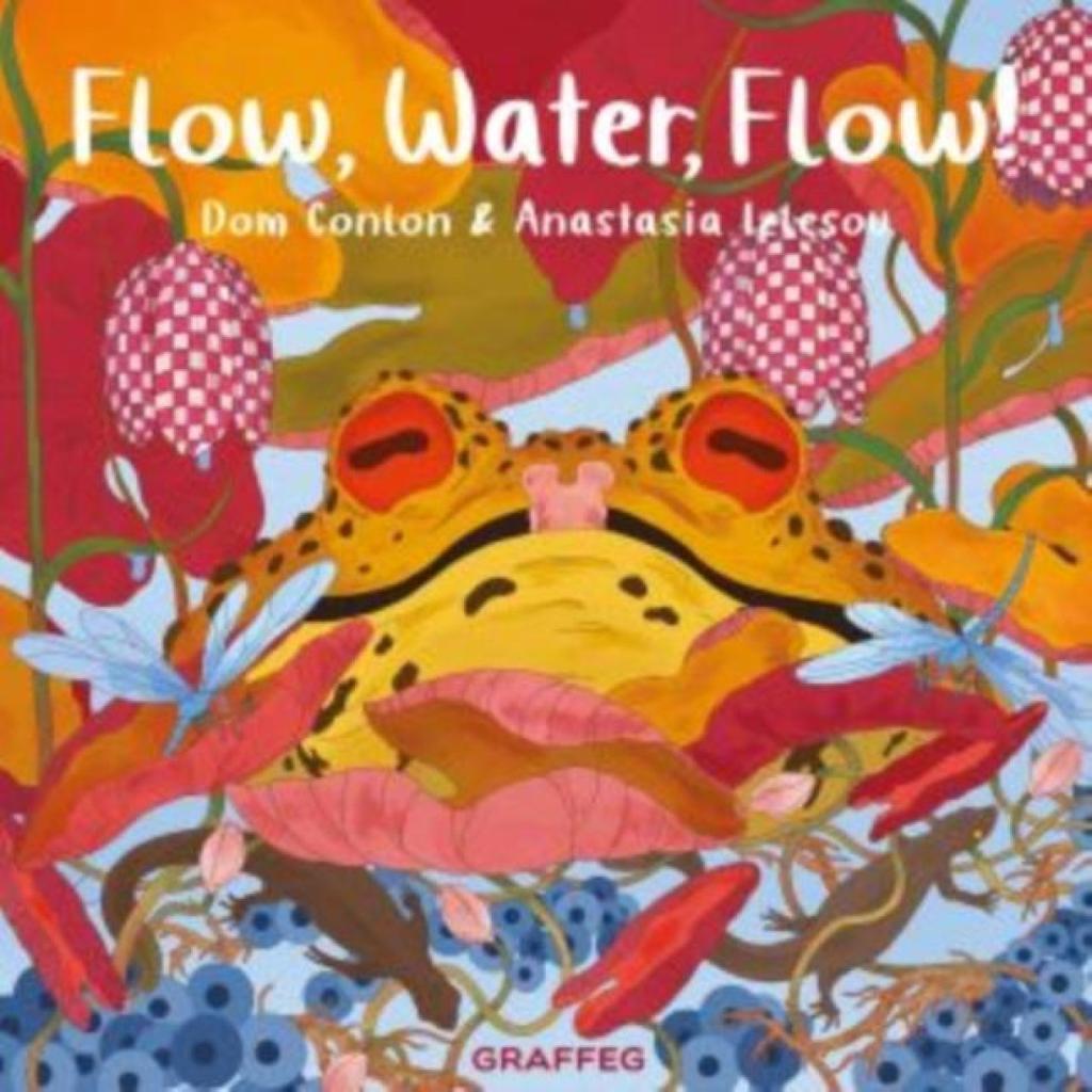 Flow Water Flow by Dom Conlon Paperback Book 9781802583335