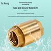 Brass Vertical Check Valve with Dual Female Thread