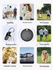 Cross-border Android Pet GPS Tracker & Locator with Google Anti-loss Function