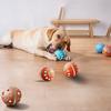 Interactive Ball Pet Toy Boredom Toy for Dogs Cats