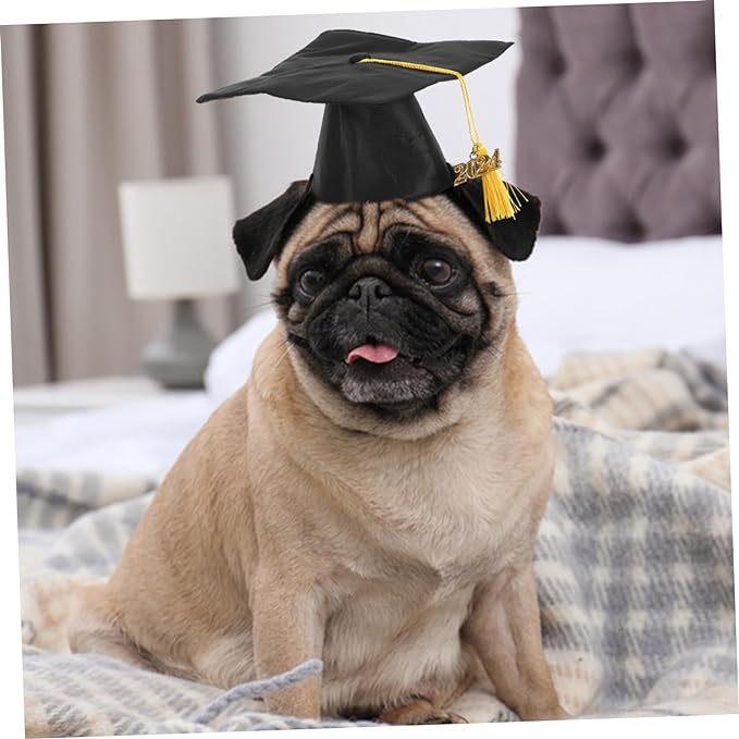 Maturitní čepice se žlutými střapci, Malé zvířecí bakalářské klobouky, Nastavitelné maturitní foto rekvizity pro mazlíčky a sváteční doplňky