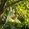 Cooling Mat Parrot Birdhouse Triangular Bird Hammock Triangular Bird Hut  All Season