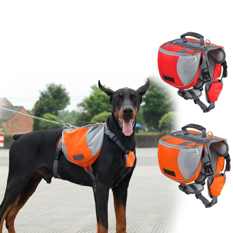 pack for dog to carry