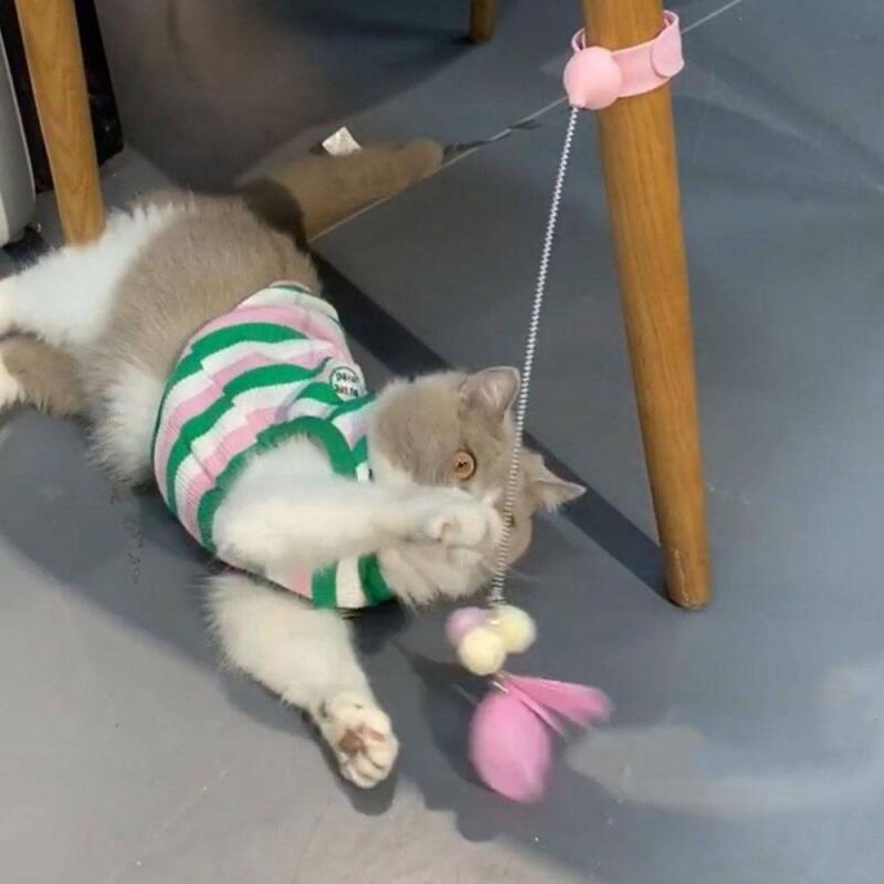

1 x Cat Hunting Spring Toy
