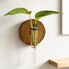 3 Stück Wandmontiertes Pflanzen-Terrarium Vermehrungsstation Klarer Zylinder Hängendes Reagenzglas Pflanzer Innen Dekorative Blumenvase für Badezimmer Büro