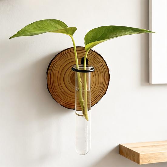 3 Stück Wandmontiertes Pflanzen-Terrarium Vermehrungsstation Klarer Zylinder Hängendes Reagenzglas Pflanzer Innen Dekorative Blumenvase für Badezimmer Büro