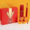ApiYoo X10 Sonic Electric Toothbrush CN plug (adapter included)