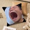 PPark JJinYYoung Funny Meme Pillow Case Antidustmite Invisible Zipper Sofa Bed