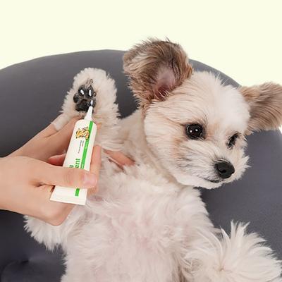 Köpek – Köpek bakım ürünleri