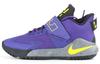 Ambassador 12 Lakers BQ5436-500
