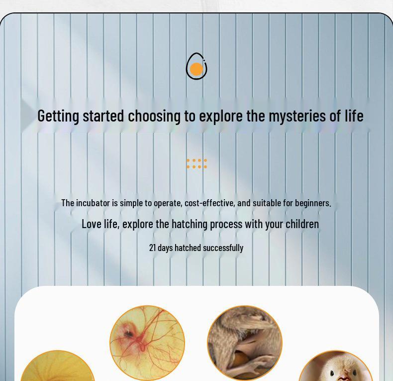 Fully Automatic Small Quail Egg Incubator: Intelligent Hatching Machine for Chicks, Ducks, and Geese