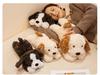 Lying Lazy Dog Plush Toy - Cute & Trendy Comfort Gift for Kids