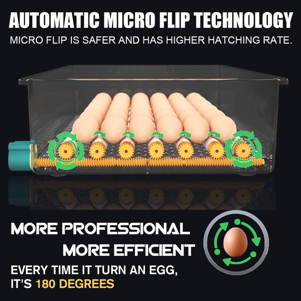 30W/35W 12/16/36 Egg Incubator Brooder Bird Quail Chick Hatchery Incubator Poultry Hatcher Turner Digital Automatic Farm Incubation Tool