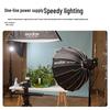 Godox LE200Bi Bi-Color LED Video Light Kit with 60x90cm Softbox