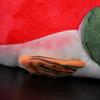 Lilizzhoumax Simulation Sockeye Salmon Plush Toy Sockeye Salmon Realistic Stuffed Animal Soft Plush Toy 16 Inch Lifelike Toy PP Cotton Gift for Boys