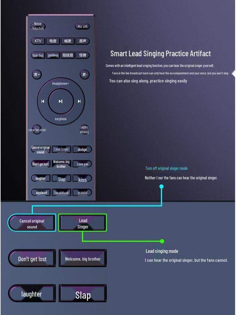 Wireless Handheld Microphone & Sound Card for Live Broadcast and Recording