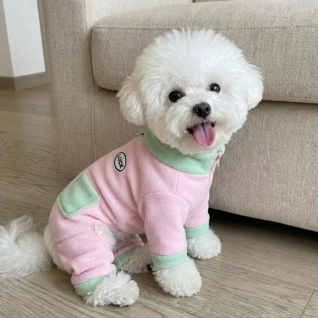Winter and autumn pet clothing with fleece insulation - four-legged clothes for dogs