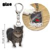 1PC Acrylic Cute Keychains Cats 2D Flat Backpack Ornament Accessories Cat Key Rings Creative Animal Key Holders Funny