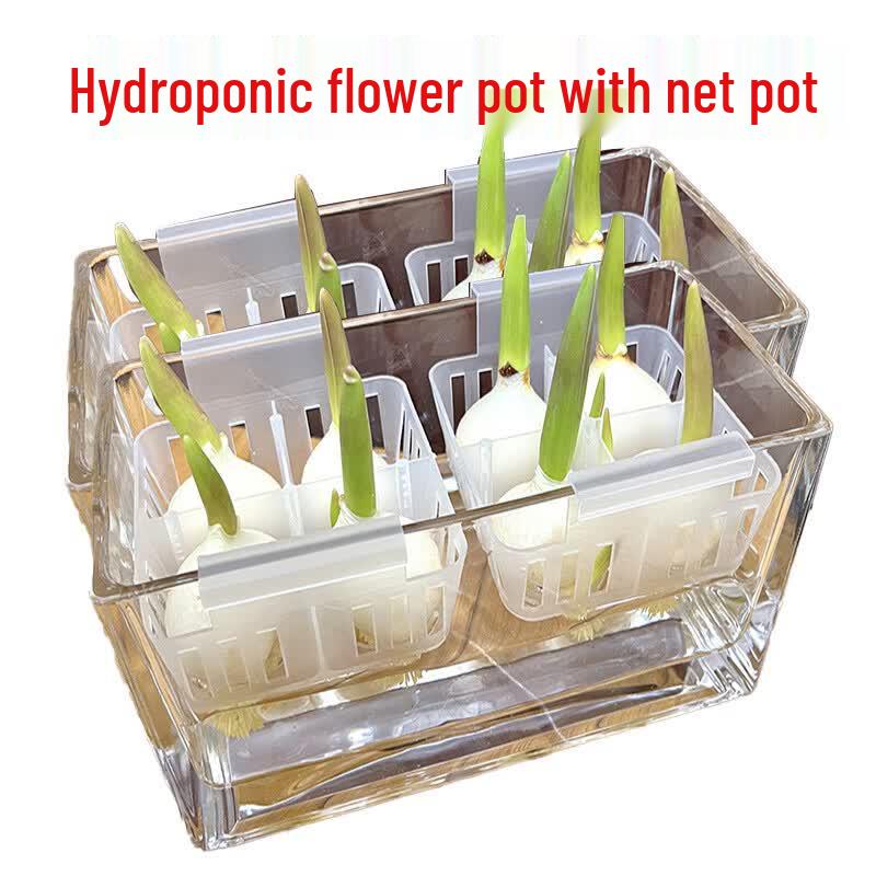 Acrylic Hydroponic Pot with Planting Basket