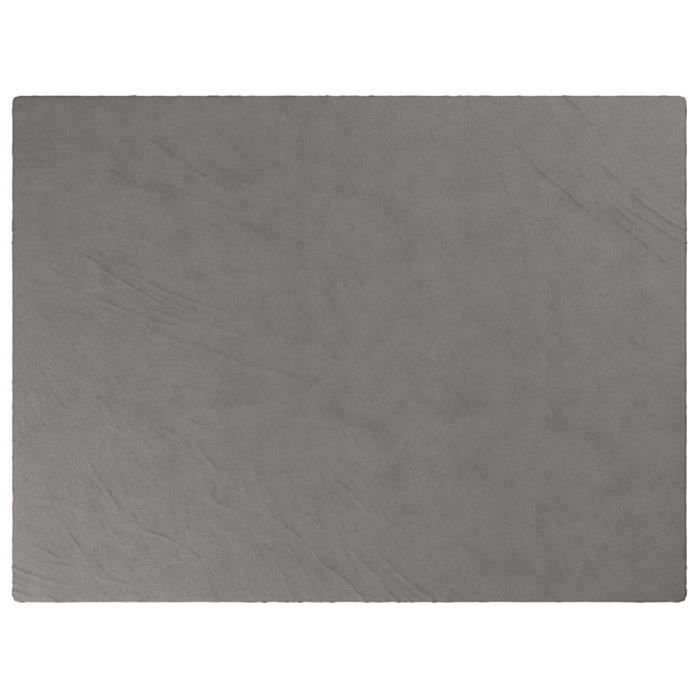 VidaXL Couverture lestée avec housse Gris 150x200 cm 11 kg Tissu 350829