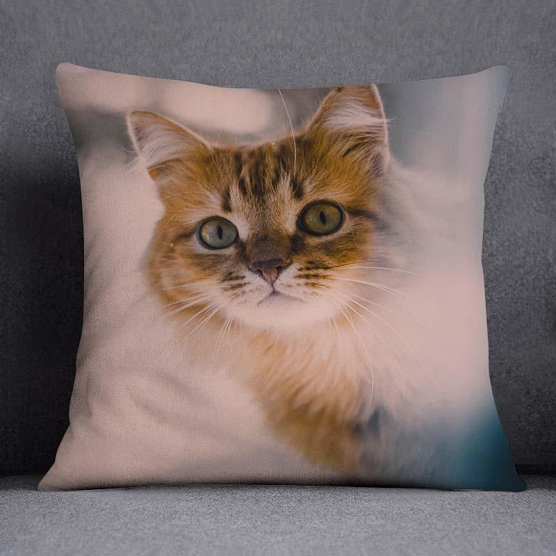 Cat Series Pattern Decorative Pillowcase, Square Home Office Decoration (45Cm * 45Cm)