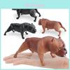 American Bully Pitbull Pvc Dierlijke Figurine Voor Kinderen Leren En Display Gebruik