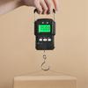 2026+ 75kg/10g Tape Measure Digital Scale Portable Digital BackLight Fishing Hanging Hook Scale with 1M Ruler