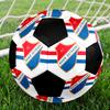 SIZE 5 FC Baník Ostrava Soccer Ball Colorful All Ages Machine Stitched PVC Competition Ready Durable High-Bounce