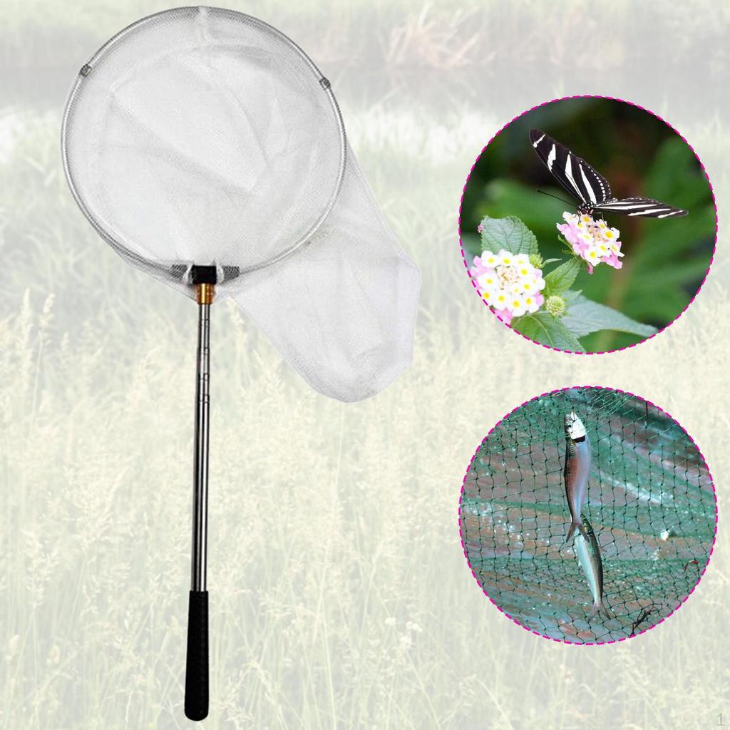 Fishing Net Telescoping Lightweight Landing for Minnow Butterfly Catfish
