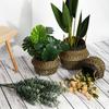 Seagrass Belly Basket with Handles Multipurpose Wicker Storage Basket Laundry Garden Decorative Storage Organizer