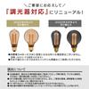 Nostalgia Edison LED Bulb, GLOBE, Gray, Clear Glass, Dimmable, Globe Shape, Warm White, 2200K, 10W Equivalent, G95 (Outer Diameter 95mm), 100lm, E26,