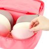 Large Capacity Home Storage Travel Accessories Sorting Bag Underwear Travel Bra Bag Storage Bag