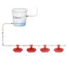 Automatic Poultry Watering System: Full Set of Integrated Chicken Drinking Cups