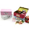Lockable Retro Iron Piggy Bank Password Lock Money Saving Coin Box Durable Home Organizer for Kids Family Gift Storage