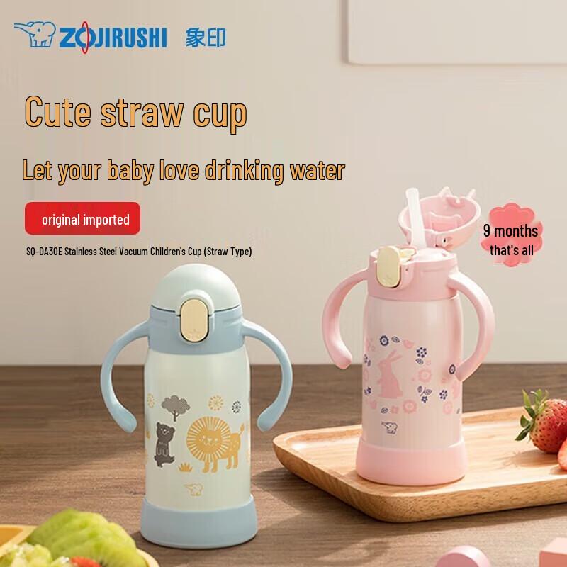 Zojirushi Stainless Steel Vacuum Insulated Straw Bottle