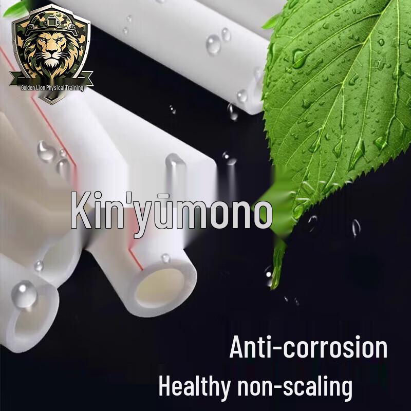 Jin Xiong Shi PPR Water Pipe