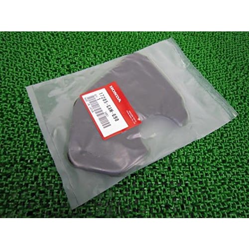 

Honda Giorno genuine air cleaner element 17205-GAM-690