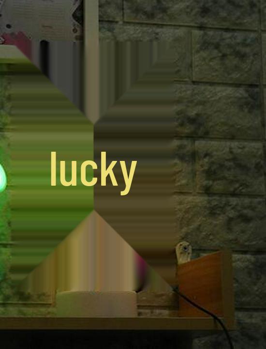 Heart-Shaped LED Neon Desk Lamp for Romantic Bedroom Decor
